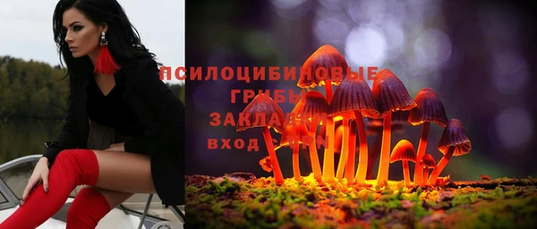 первитин Вязьма
