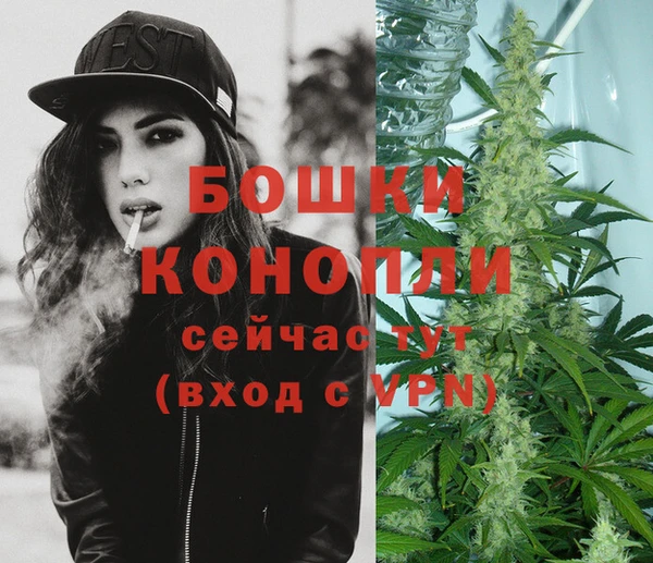 амф Вяземский