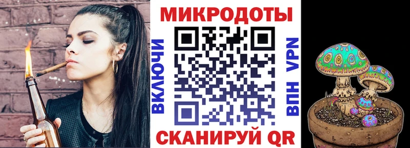 Купить где  Купино  Псилоцибиновые грибы Cubensis 